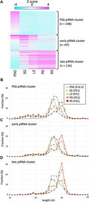 The Expression Dynamics of piRNAs Derived From Male Germline piRNA Clusters and Retrotransposons